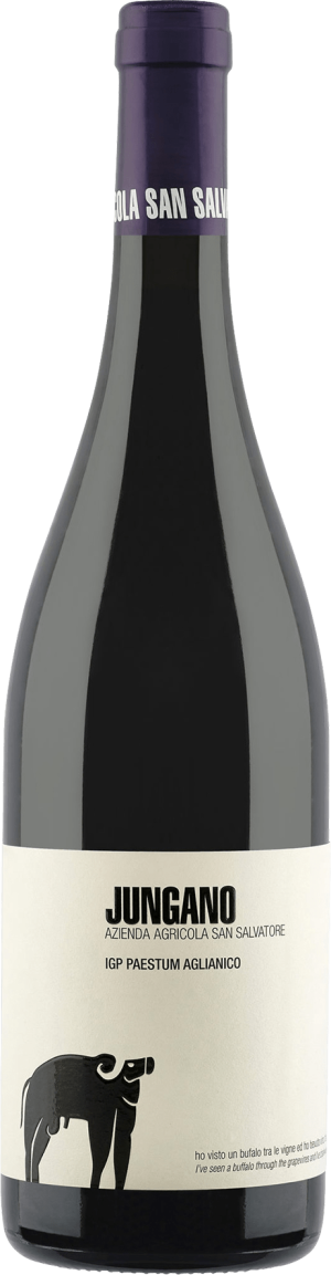 Jungano Aglianico 2021 - Aglianico - 750 ml