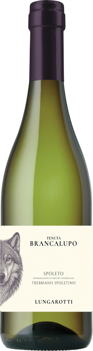 Tenuta Brancalupo Spoleto Trebbiano Spoletino DOC 2024 - 750 ml