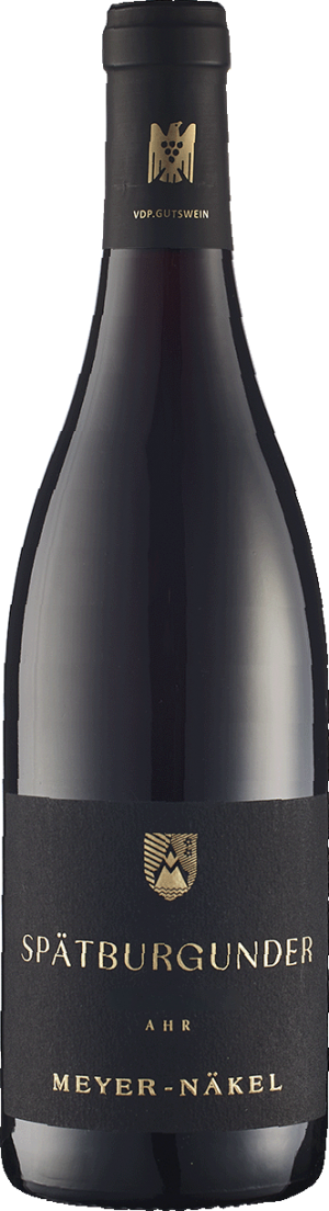 Spätburgunder QbA trocken 2023 - Spätburgunder - 750 ml
