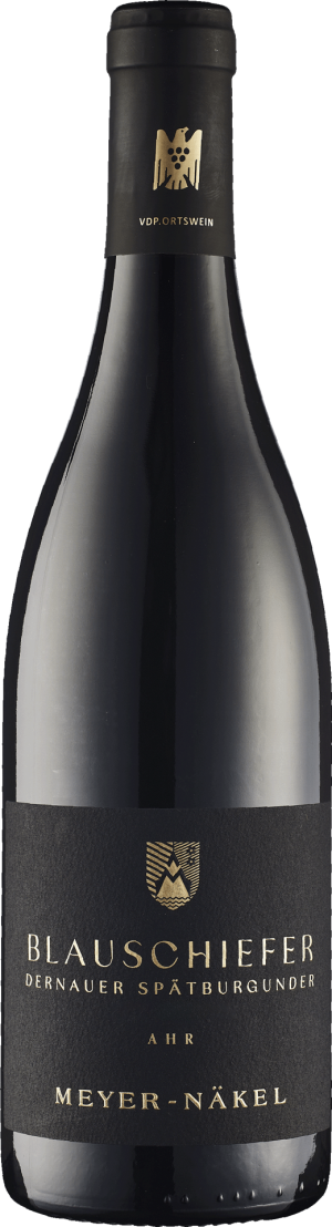 Spätburgunder "Blauschiefer" QbA 2023 - Spätburgunder - 750 ml