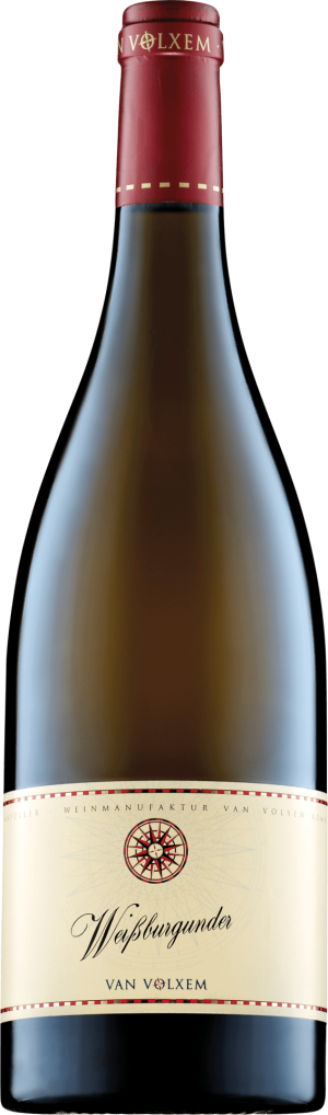 Weißburgunder 2024 - Weißburgunder - 750 ml