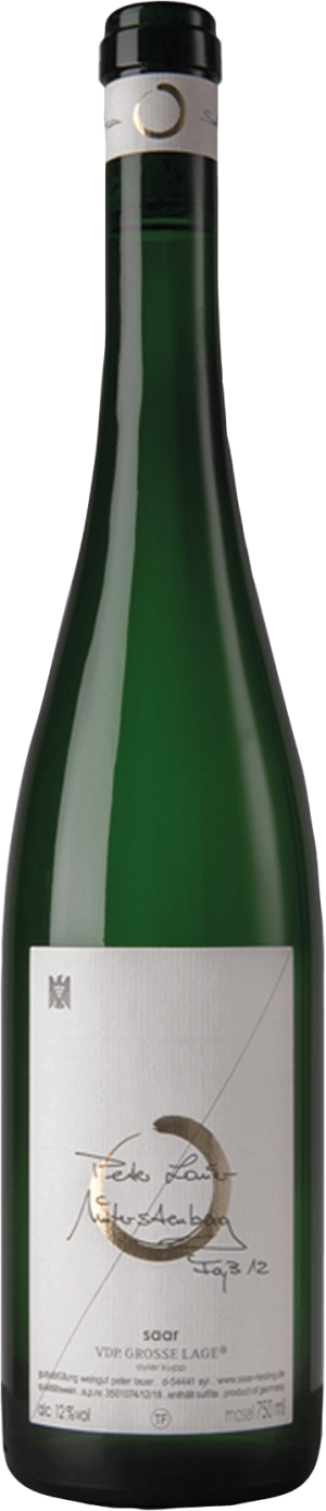 Ayl KUPP " Unterstenberg" Riesling "Fass 12" 2022 - Riesling - 750 ml