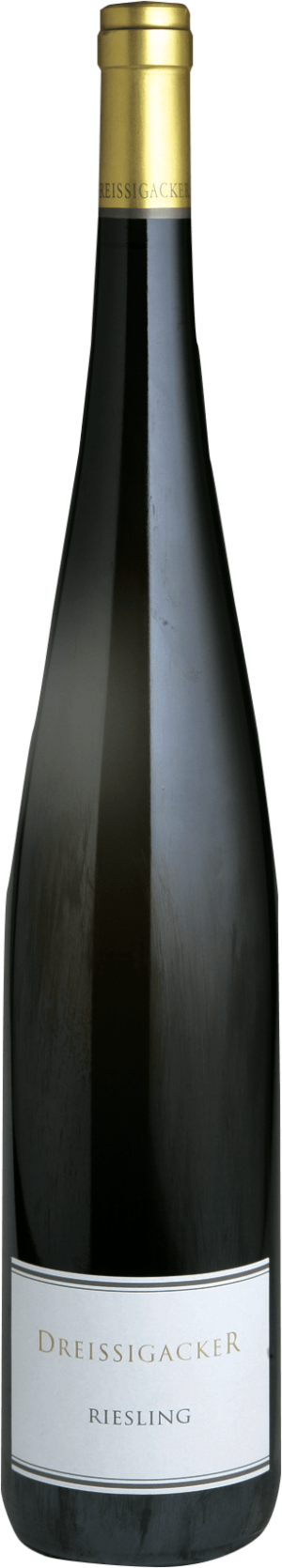 Riesling Magnum 2024 - Riesling - 1500 ml