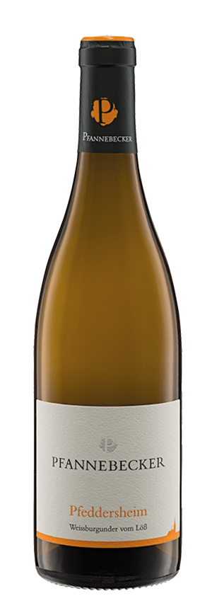 Pfeddersheimer Weissburgunder "vom Löß" Qualitätswein trocken 2024 - Weißburgunder - 750 ml