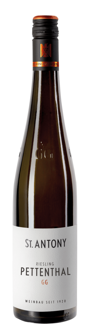 Riesling Pettenthal GG 2023 - Riesling - 750 ml