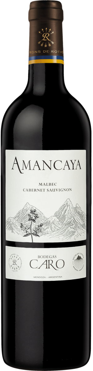 Amancaya 2021 - Malbec - 750 ml
