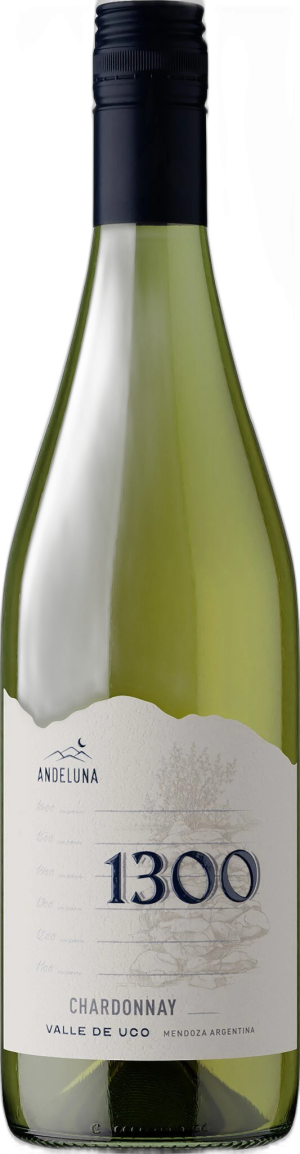 Meerlust Cabernet Sauvignon WO Stellenbosch Anniversary Edition 0.75L 2021 - Cabernet Sauvignon - 750 ml