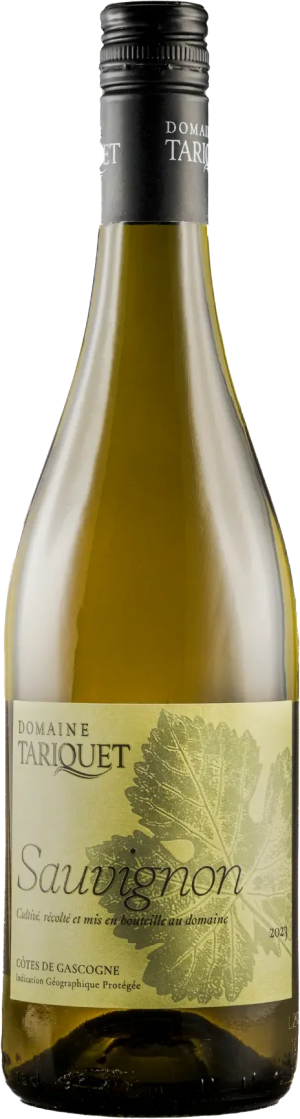 Domaine Tariquet Sauvignon Blanc 2025 - Sauvignon Blanc - 750 ml
