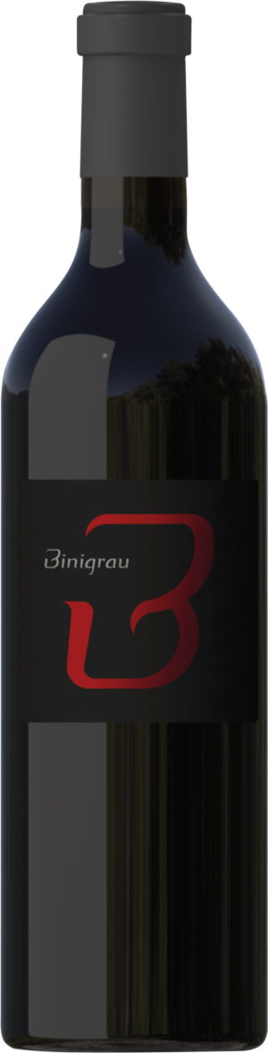 Binigrau B- Negre 2017 - Merlot - 750 ml