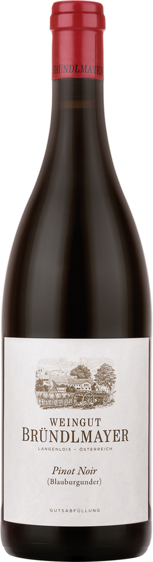 Bründlmayer Pinot Noir 2018 - Pinot Noir - 750 ml