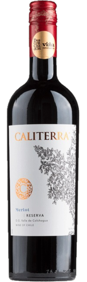 Caliterra Merlot Reserva 2023 - Merlot - 750 ml
