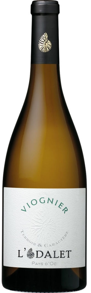 L'Odalet Viognier 2024 - Viognier - 750 ml