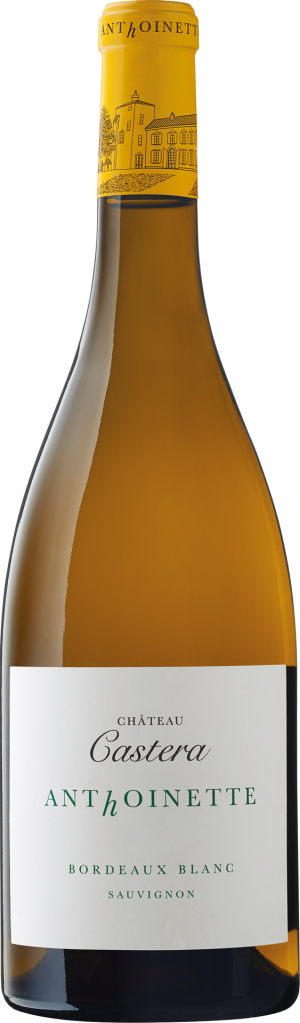 Anthoinette Château Castera Blanc 2022 - Sauvignon Blanc - 750 ml
