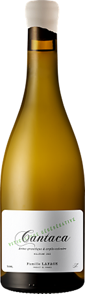 Domaine Lafage Cantaca 2024 - Chardonnay - 750 ml