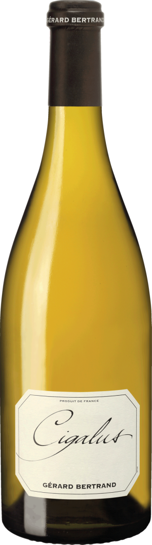 Cigalus Blanc 2024 - Chardonnay - 750 ml