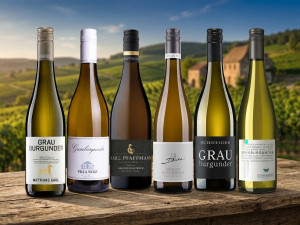 Probierpaket Grauburgunder