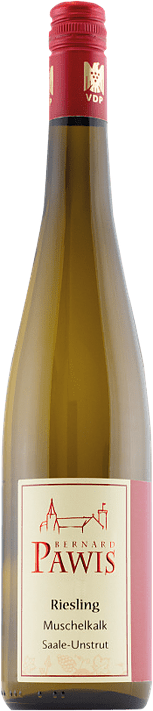 Riesling "Muschelkalk" 2023 - Riesling - 750 ml