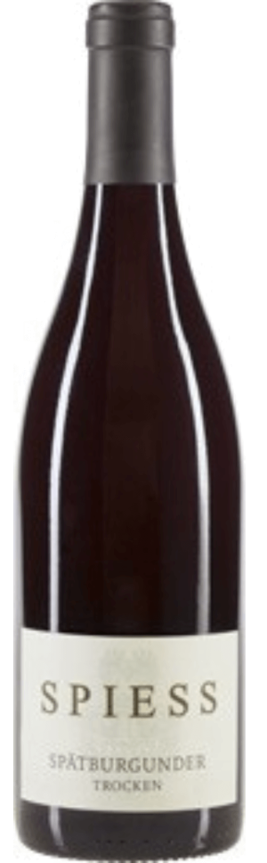 Spiess Pinot Noir Gutswein trocken 2024 - Spätburgunder - 750 ml