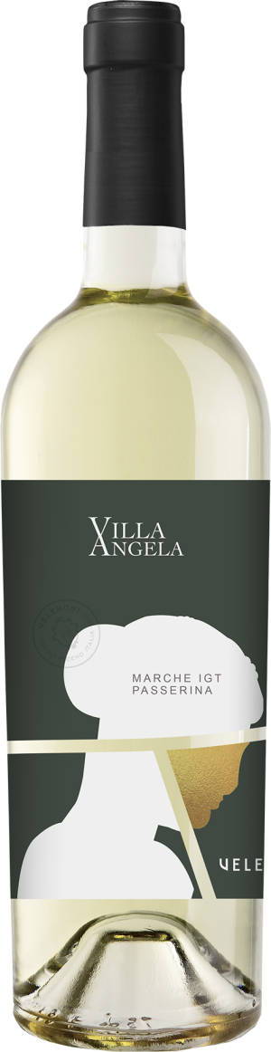 Passerina Marche IGT 2024 - Passerina - 750 ml
