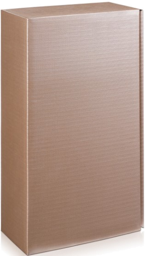 Geschenkkarton 2er goldfarbend