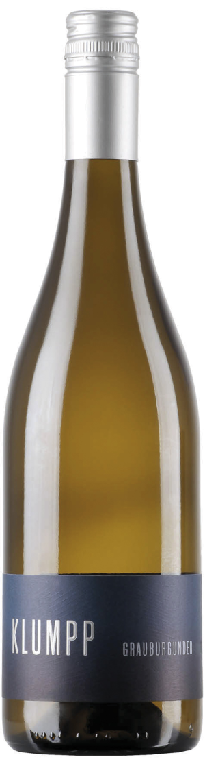 Grauburgunder 2025 - Grauburgunder - 750 ml