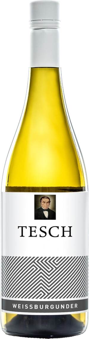 Tesch Weissburgunder trocken 2023 - Weißburgunder - 750 ml