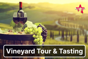 Explore the Art of Winemaking - Guided Vineyard Tour & Tasting (For Two)