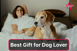 Dog Friendly Hotel Stay At Their Choice Of Over 60 UK Wide Locations - A Great Dog Lovers Gift And Relax With Man's Best Friend! (Only 1 Dog Can Stay)