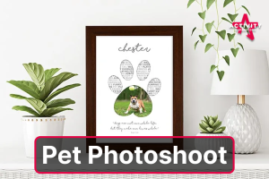 1 Hour Pet Portrait & Personalised Pet Present Photoshoot - Choose From 20 Personalised Gifts - Up To 100 Locations Nationwide