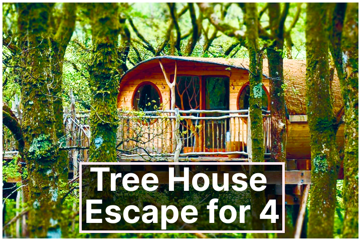 Treehouse Getaway for Families - Two Nights of Self-Catering and Endless Exploration