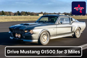 Eleanor Mustang GT500 Driving Experience - Drive This 1967 Shelby Mustang GT500 For 3 Miles