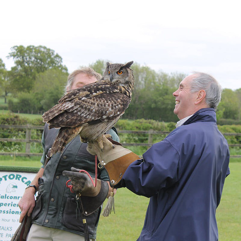 Falconry Taster for Two | Birds | Virgin Experience Days / Voucher Gift
