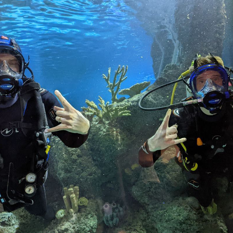 Skegness Aquarium Dive with Sharks Weekday | Sealife | Virgin Experience Days / Voucher Gift