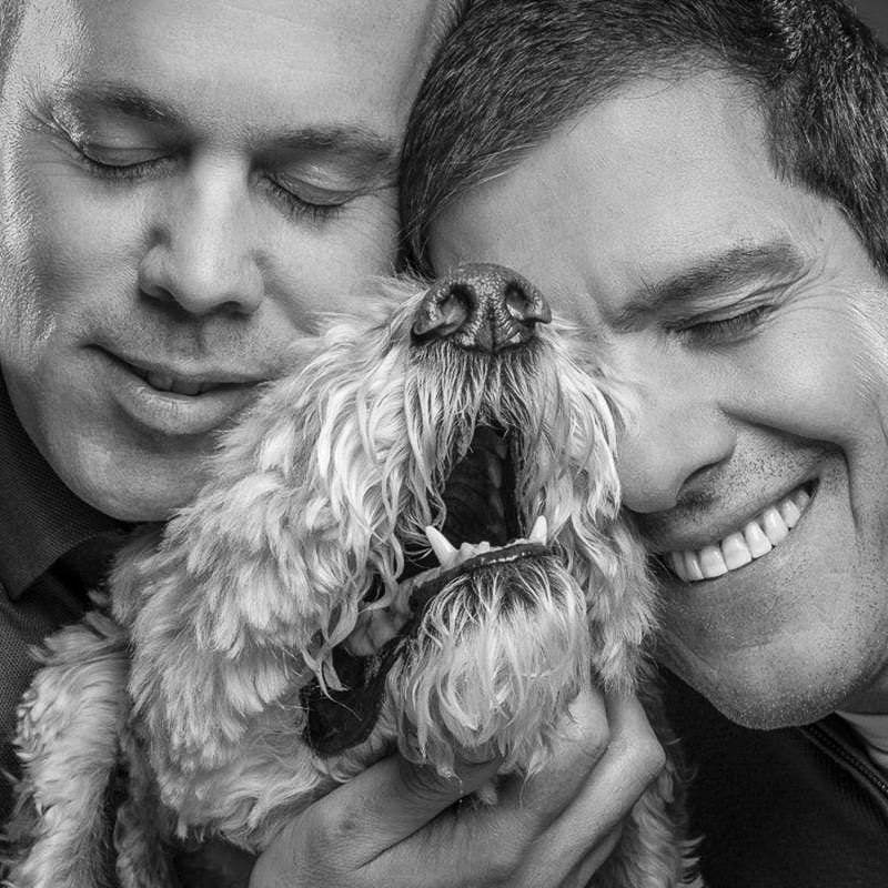 Pet Photoshoot With Image And Frame At Venture Studios In This Bespoke 1-Hour Photo Shoot, With A Highly Skilled Photographer, Capturing Your Pet | New Animal | Virgin Experience Days | Photo