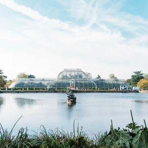 Visit To The 326 Acre Kew Gardens With Cream Tea Gift For Two - Virgin Experience Days Gift Card Pack | Afternoon Tea in London | Afternoon Tea for Two | Virgin Experience Days / Voucher Gift