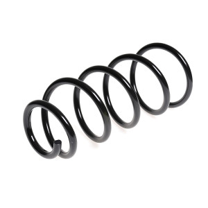 SACHS Coil Spring 627546100