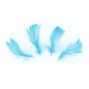 Konfetti piórka krótkie 50 szt. - niebieskie