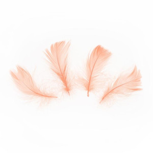 Konfetti piórka krótkie 50 szt. - brzoskwiniowe