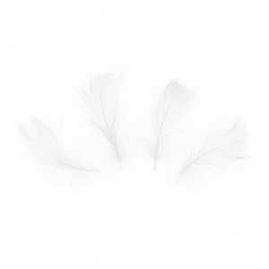 Konfetti piórka krótkie 50 szt. - białe