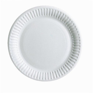 Talerze papierowe 17 cm (6szt)
