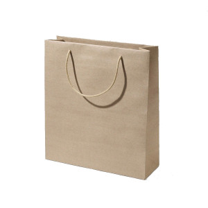 Torebka papierowa EKO 42x31x10cm AL-1038
