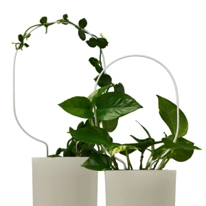 Support de plantes grimpantes RONDO, set