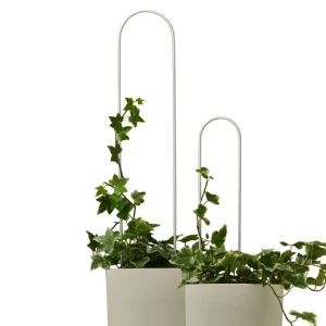 Support de plantes grimpantes LINEA, set