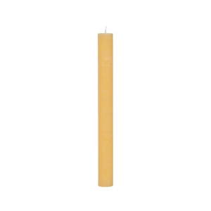 Bougies unies Ø 40 mm – 4 pièces -Vanille