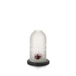Photophore Patrie III transparent -mittel
