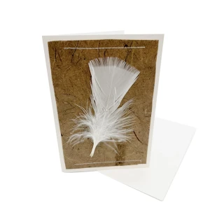 Carte plume