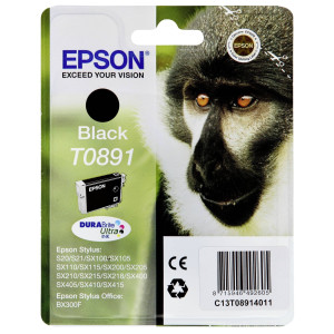 Epson Druckerpatrone T0891 Original Schwarz C13T08914011