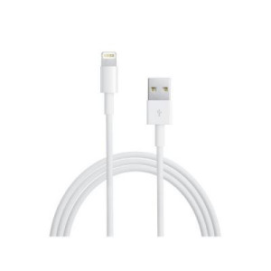 Apple Data Cable 2m