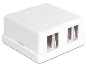 Delock Keystone Leergehuse 2 Port wei