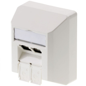 Telegrtner Netzwerkdose Aufputz CAT 6a 2 Port Alpinwei